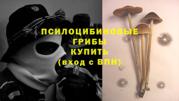 a pvp Алексеевка