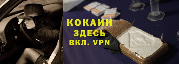 гашик Алексин