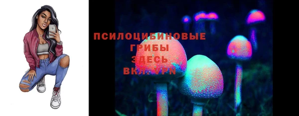 гашик Алексин