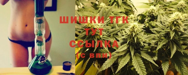 гашик Алексин
