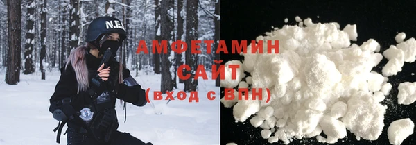 гашик Алексин