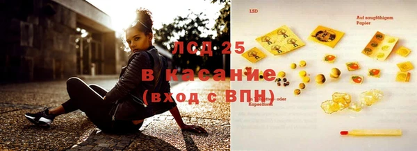 гашик Алексин