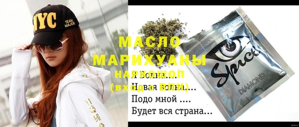 гашик Алексин