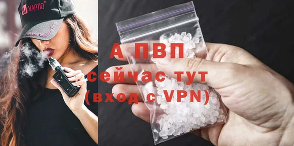 гашик Алексин